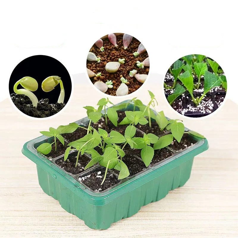 Dome Propagation Kit - 5 Stück 6/12-Fächer Anzuchtschalen Set mit