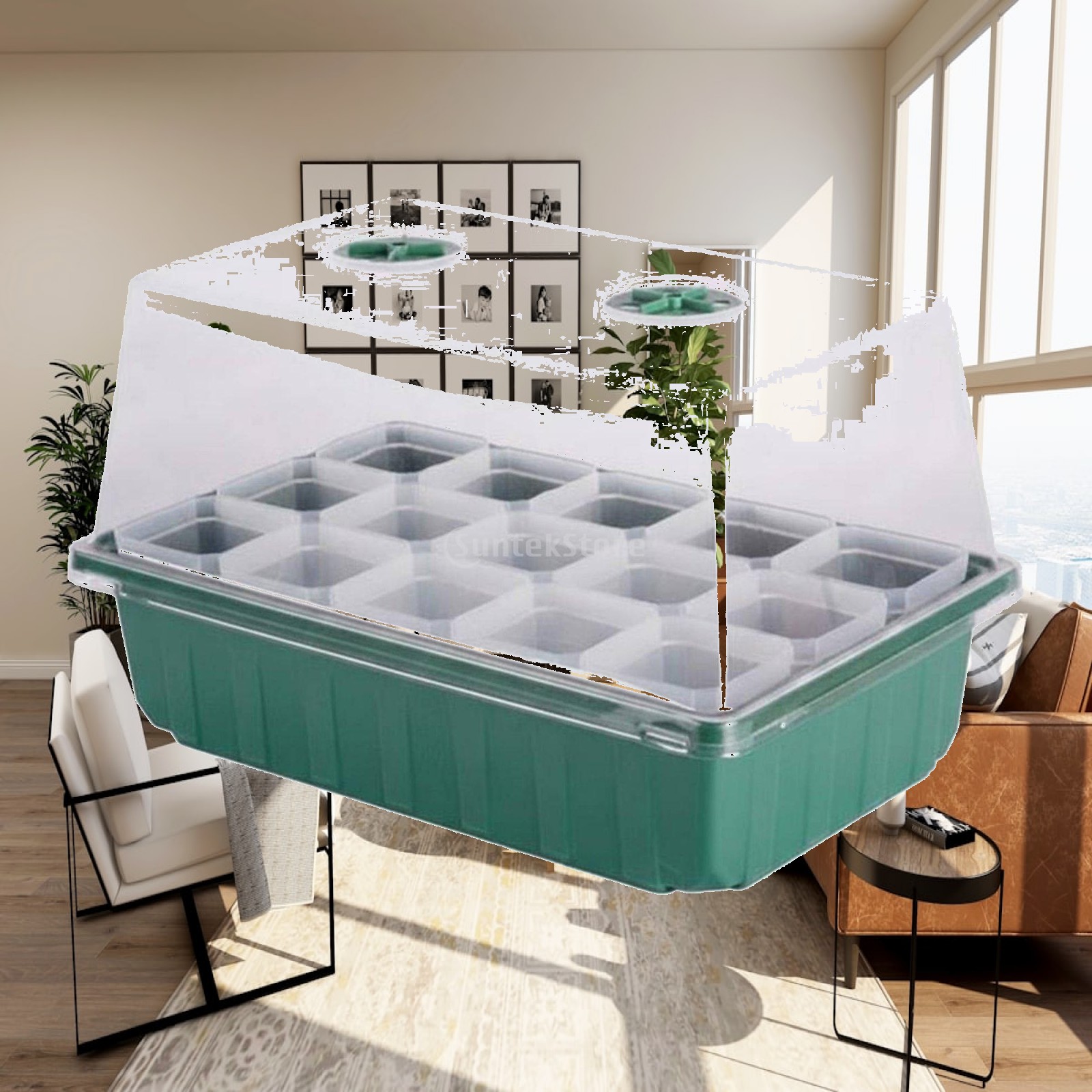 Dome Propagation Kit - Mini-Gewächshaus Vermehrungsbox aus Verdicktem Kunststoff Feuchtigkeitskuppel