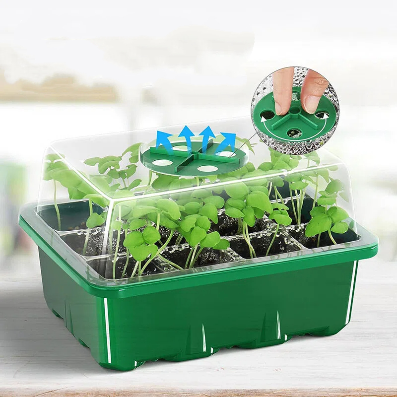 5 Stück 6/12-Fächer Anzuchtsch – Dome Propagation Kit Bewertung und Preis