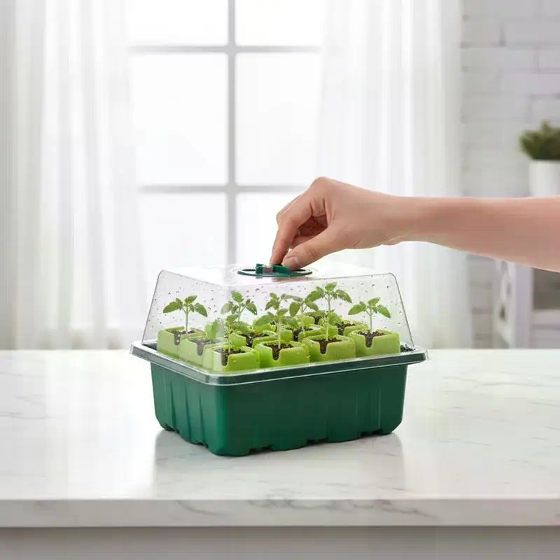 1 Set Anzuchtset für Samen, Mi – Dome Propagation Kit Bewertung und Preis
