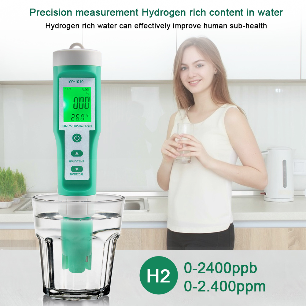 10-in-1 PH/EC/TDS/ORP/H2/SALT/ – Ph Up Down Solution Bewertung und Preis